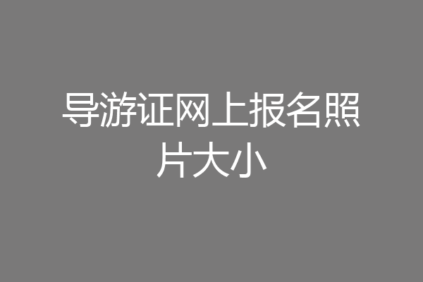导游证网上报名照片大小