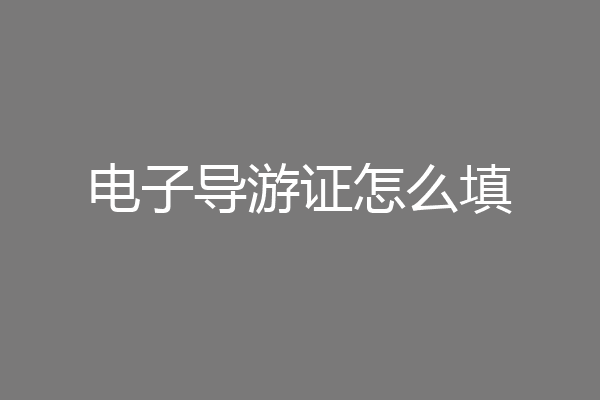电子导游证怎么填