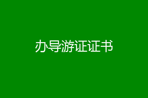 办导游证证书