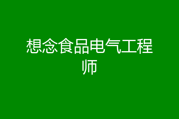 想念食品电气工程师