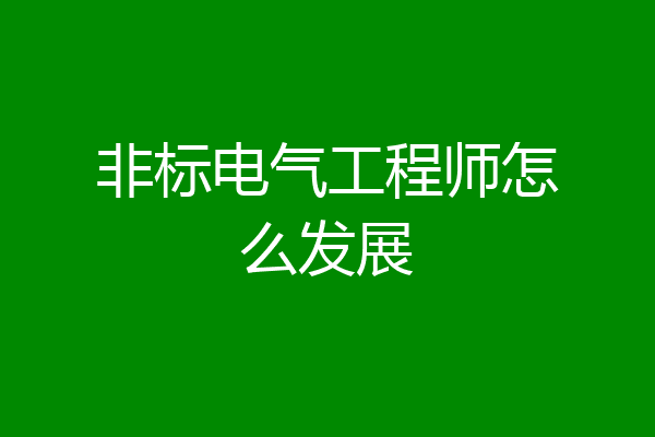 非标电气工程师怎么发展