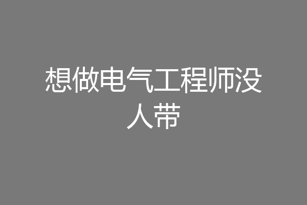 想做电气工程师没人带