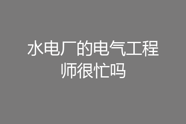水电厂的电气工程师很忙吗