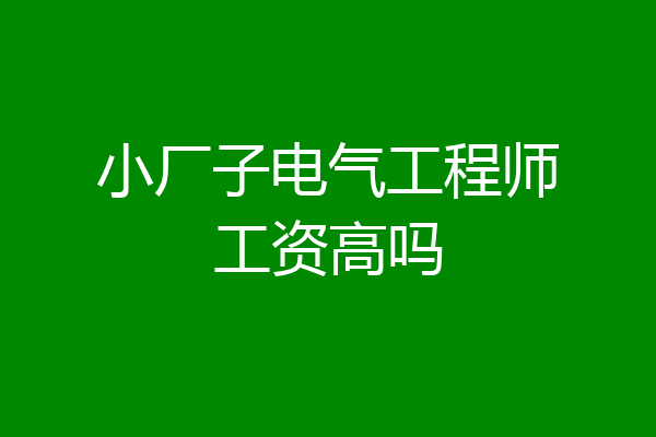 小厂子电气工程师工资高吗