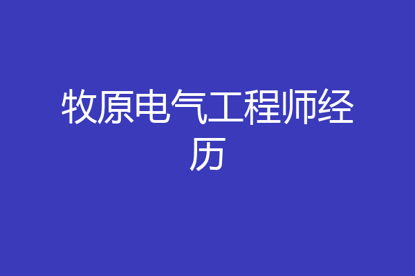 牧原电气工程师经历