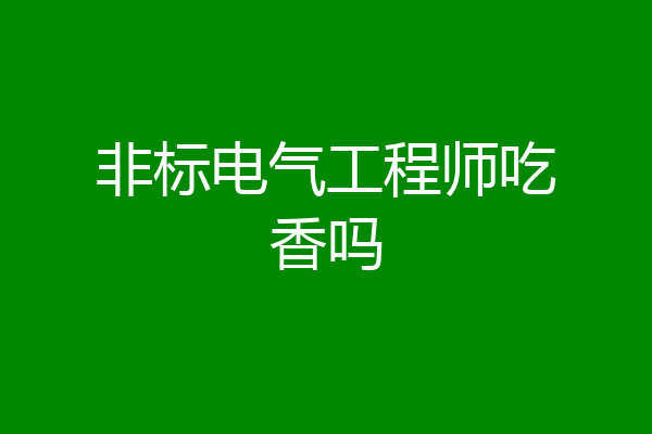 非标电气工程师吃香吗
