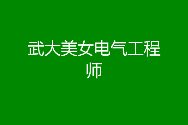 武大美女电气工程师
