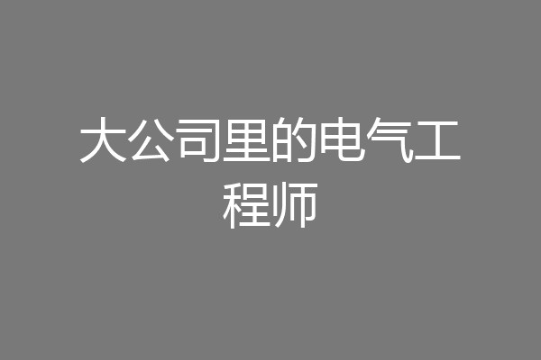 大公司里的电气工程师