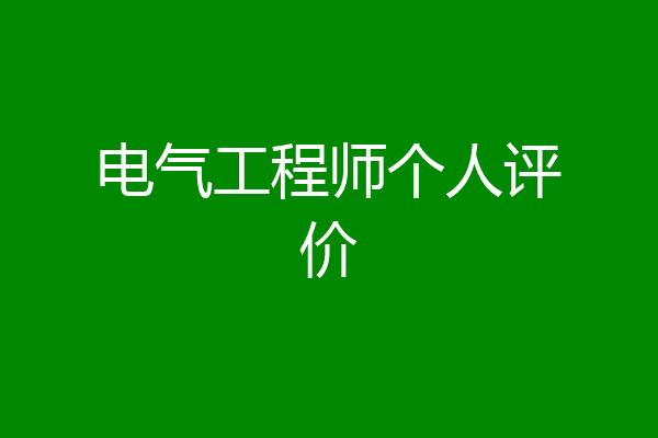 电气工程师个人评价