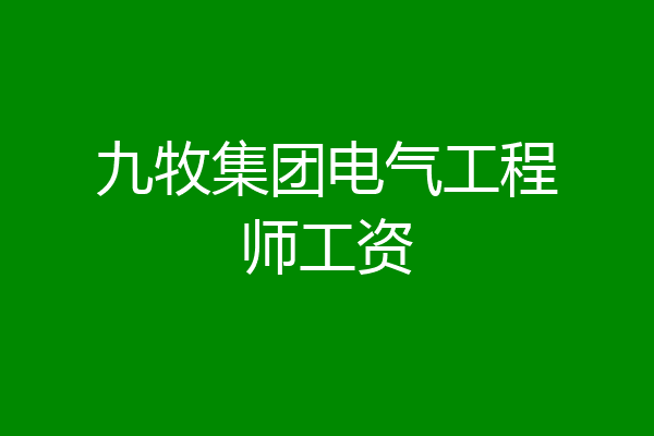 九牧集团电气工程师工资