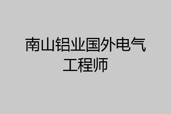 南山铝业国外电气工程师