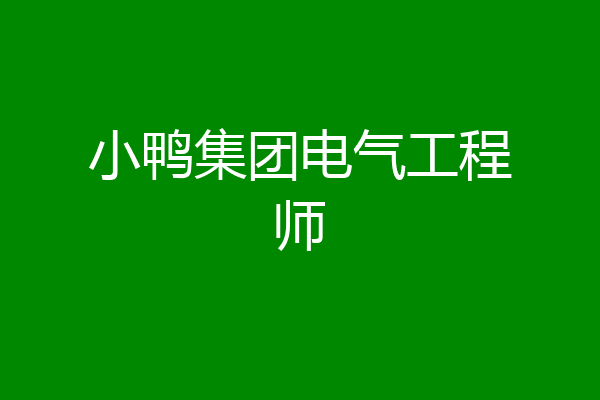 小鸭集团电气工程师