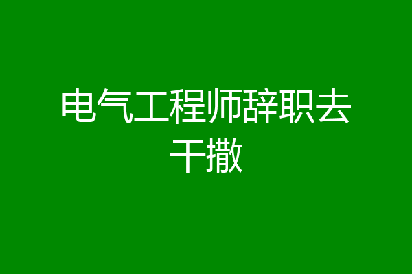电气工程师辞职去干撒