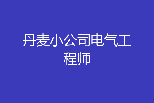丹麦小公司电气工程师