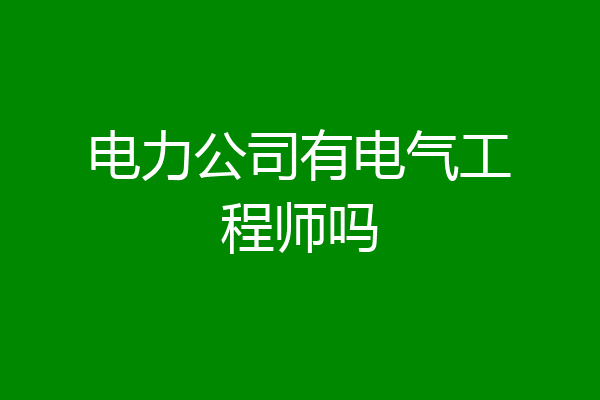 电力公司有电气工程师吗