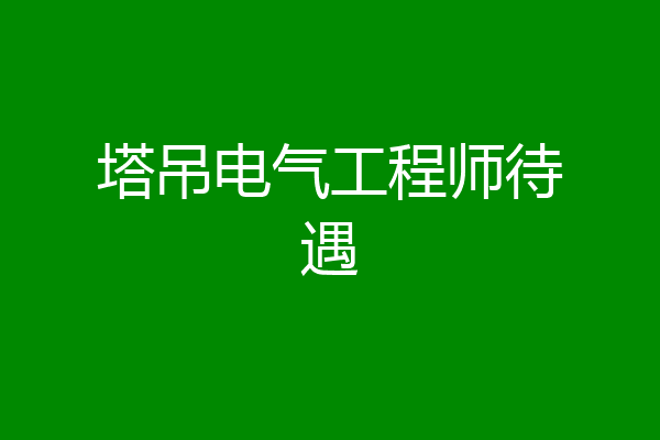 塔吊电气工程师待遇
