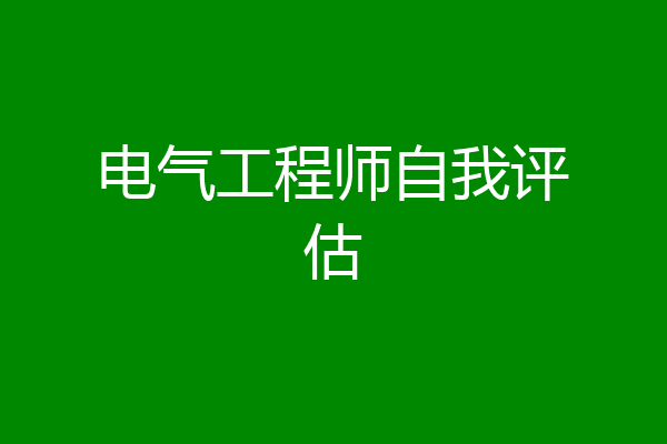 电气工程师自我评估
