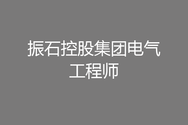 振石控股集团电气工程师