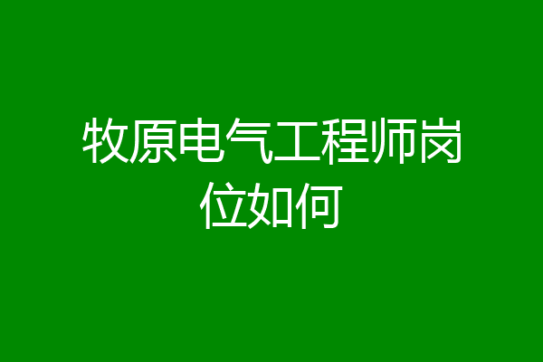 牧原电气工程师岗位如何