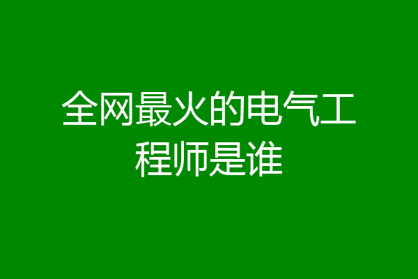 全网最火的电气工程师是谁