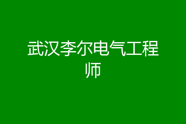 武汉李尔电气工程师