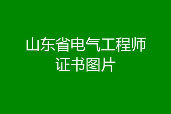 山东省电气工程师证书图片