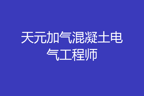 天元加气混凝土电气工程师