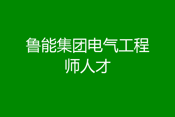 鲁能集团电气工程师人才