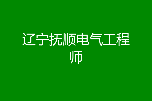 辽宁抚顺电气工程师
