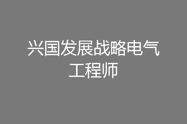 兴国发展战略电气工程师