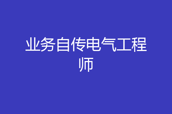 业务自传电气工程师