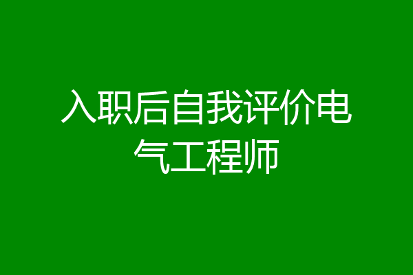 入职后自我评价电气工程师