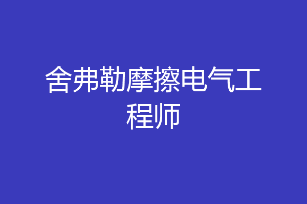 舍弗勒摩擦电气工程师