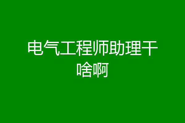 电气工程师助理干啥啊