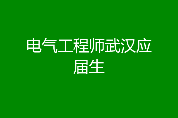 电气工程师武汉应届生