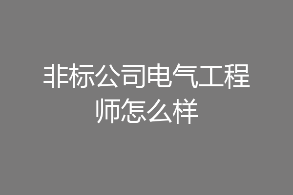非标公司电气工程师怎么样