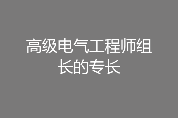 高级电气工程师组长的专长