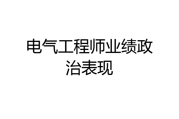 电气工程师业绩政治表现