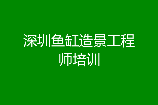 深圳鱼缸造景工程师培训
