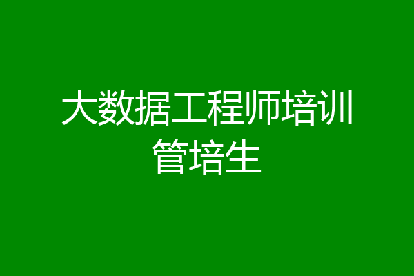 大数据工程师培训管培生