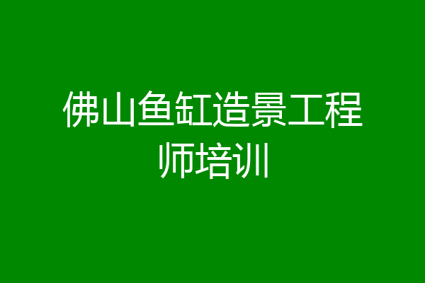 佛山鱼缸造景工程师培训