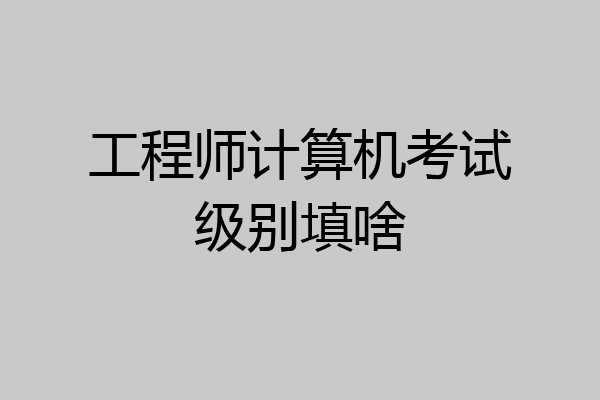 工程师计算机考试级别填啥