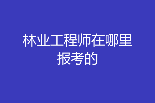 林业工程师在哪里报考的