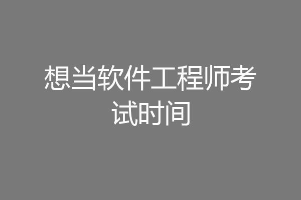 想当软件工程师考试时间