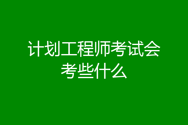 计划工程师考试会考些什么