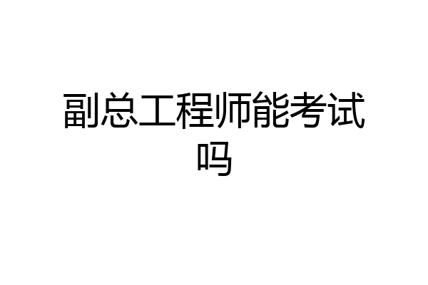 副总工程师能考试吗