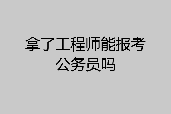 拿了工程师能报考公务员吗