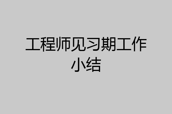工程师见习期工作小结