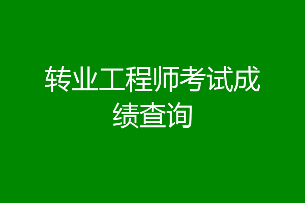 转业工程师考试成绩查询