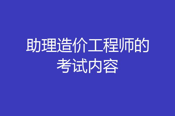 助理造价工程师的考试内容